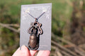 Electroplated Beetle with Aventurine Necklace
