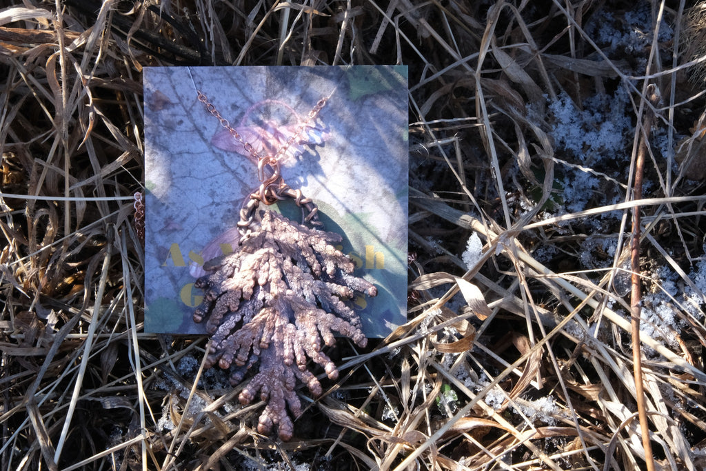 Electroplated Arborvitae Necklace