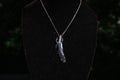Limited Edition Copper Plated Blue Jay Feather